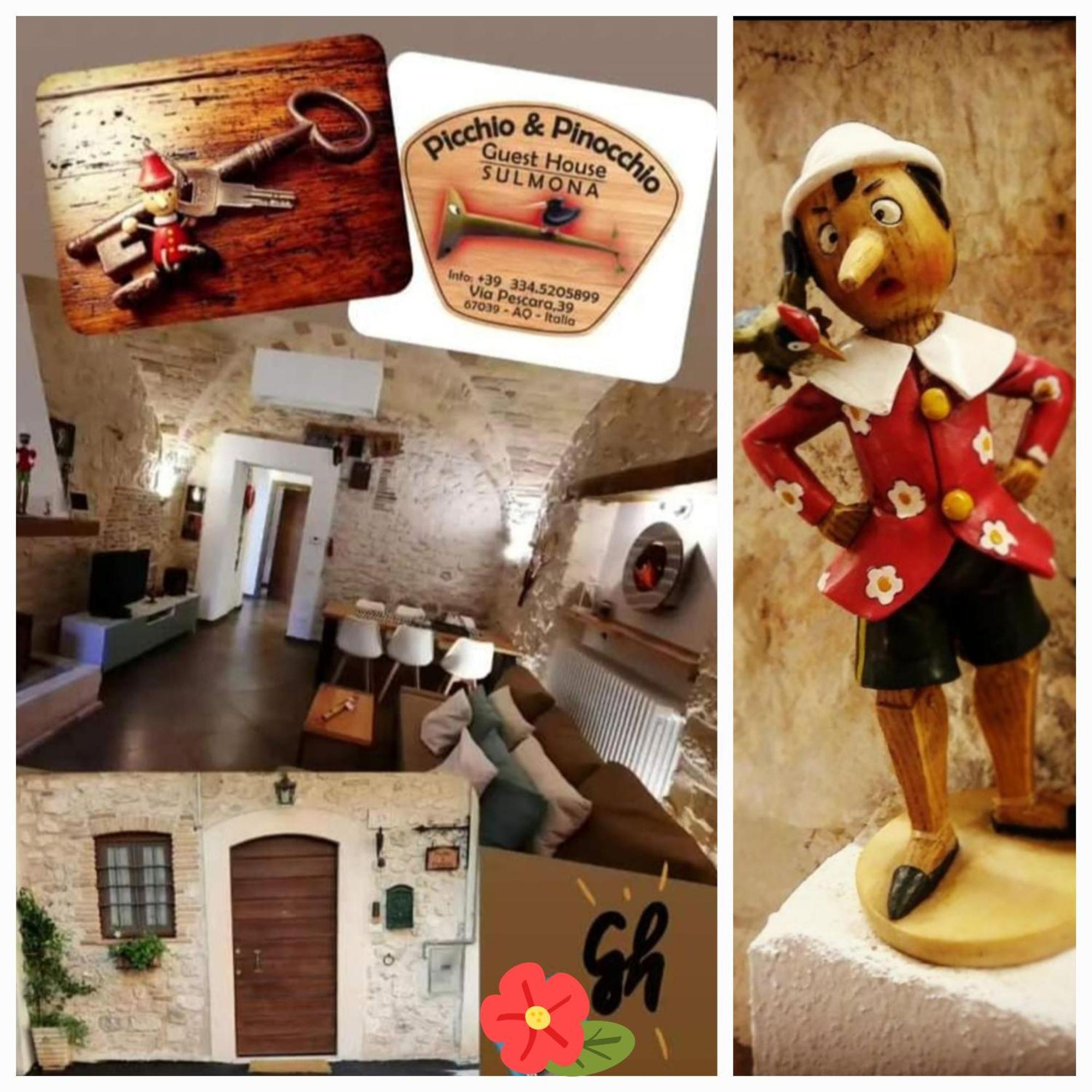 Picchio&pinocchio Sulmona